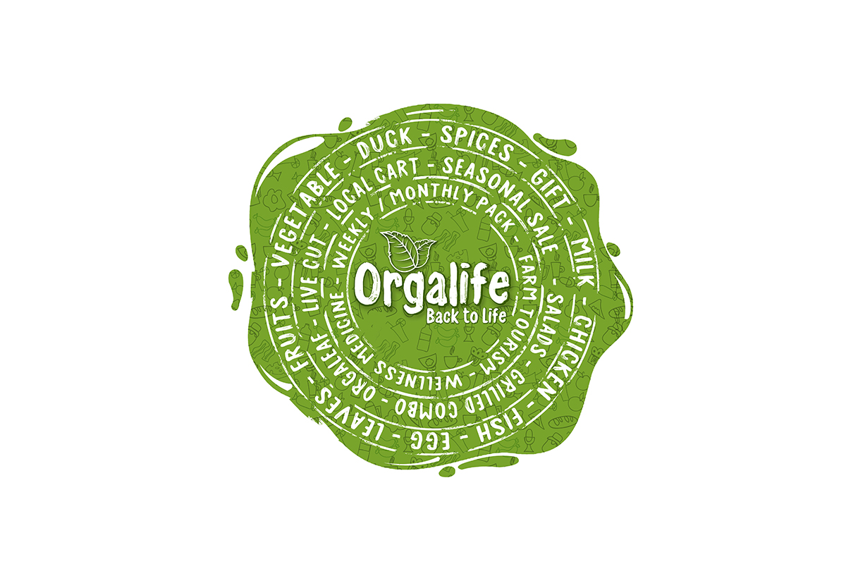 best software companies